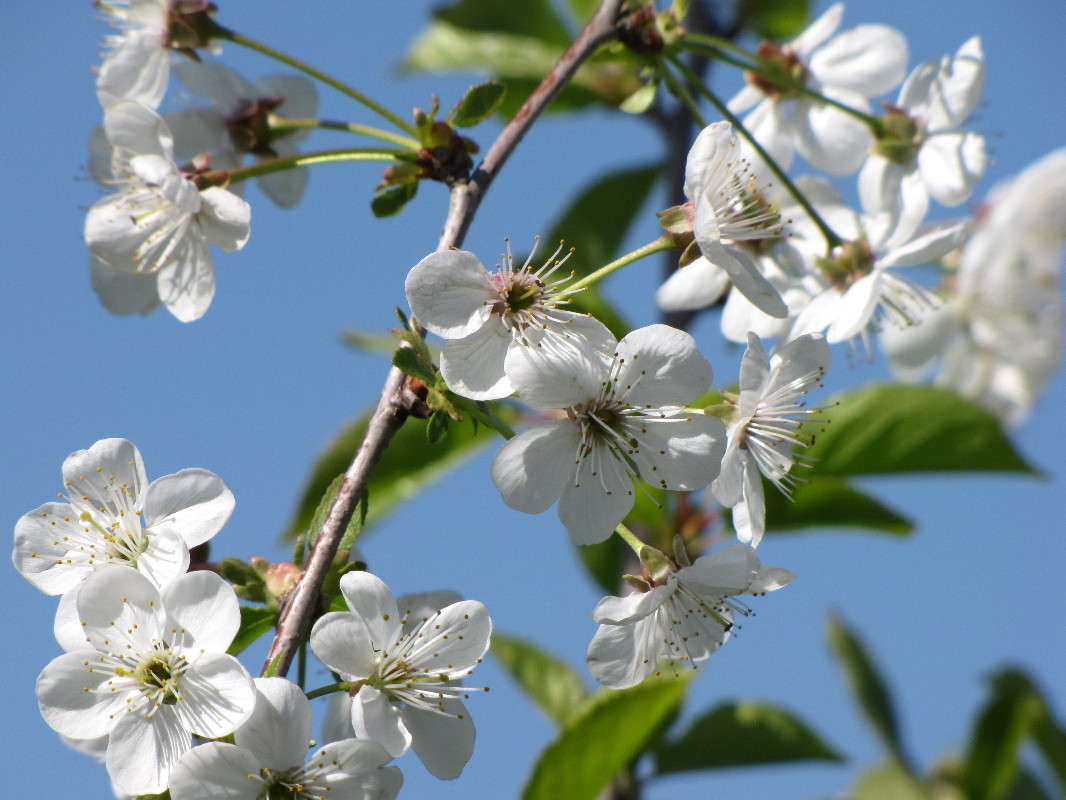 ... ����� ���� ������� �� PhotoGeek.ru #������ ��� �������