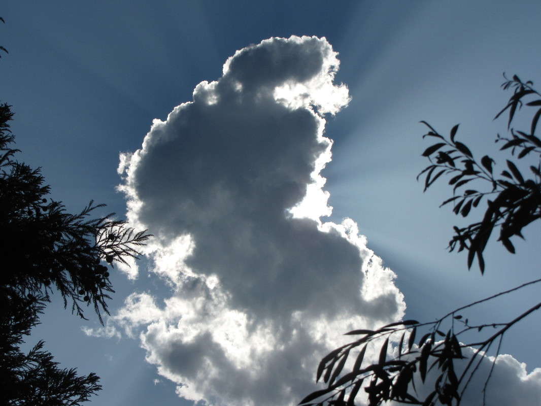 ... ����� ���� ������� �� PhotoGeek.ru #������ ��� �������