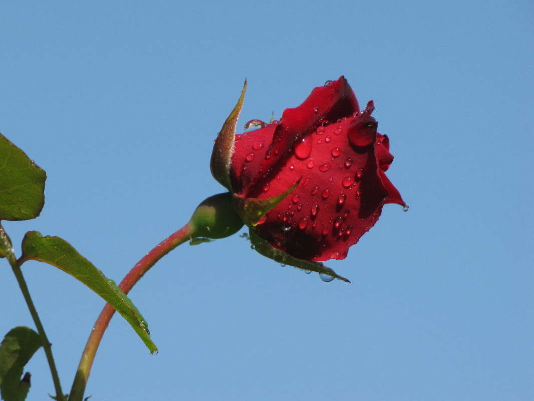 ... ����� ���� ������� �� PhotoGeek.ru #������ ��� �������