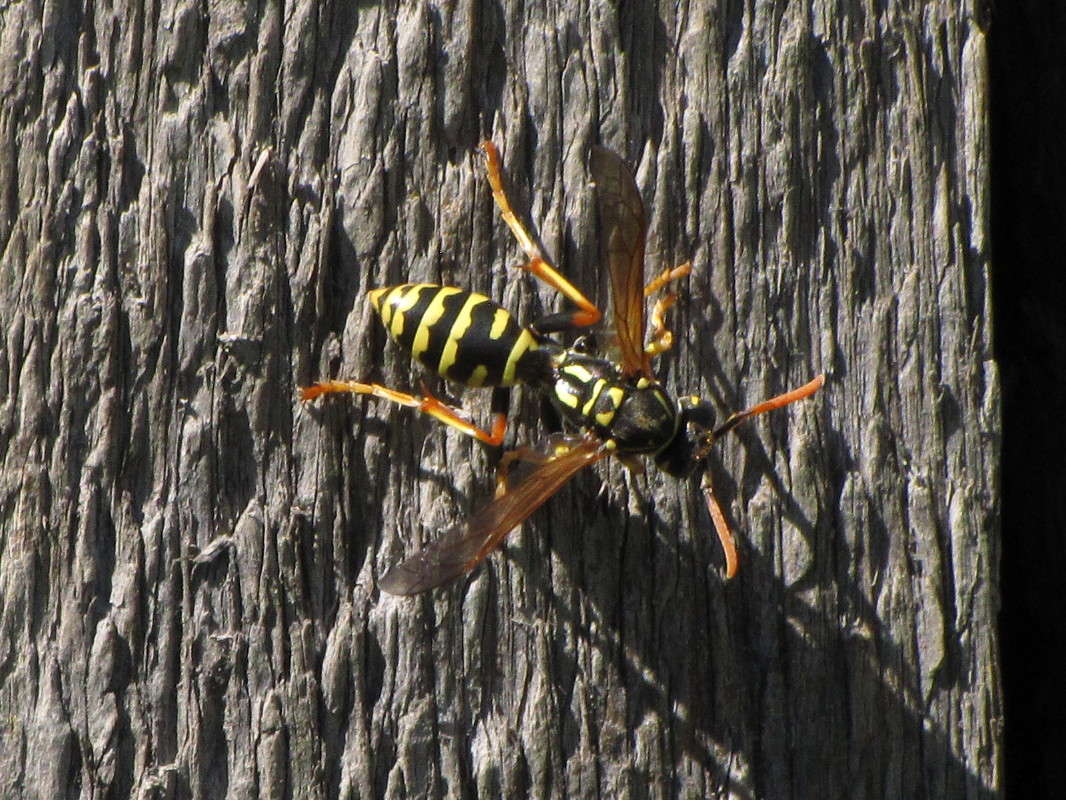 ... ����� ���� ������� �� PhotoGeek.ru #�������� ���