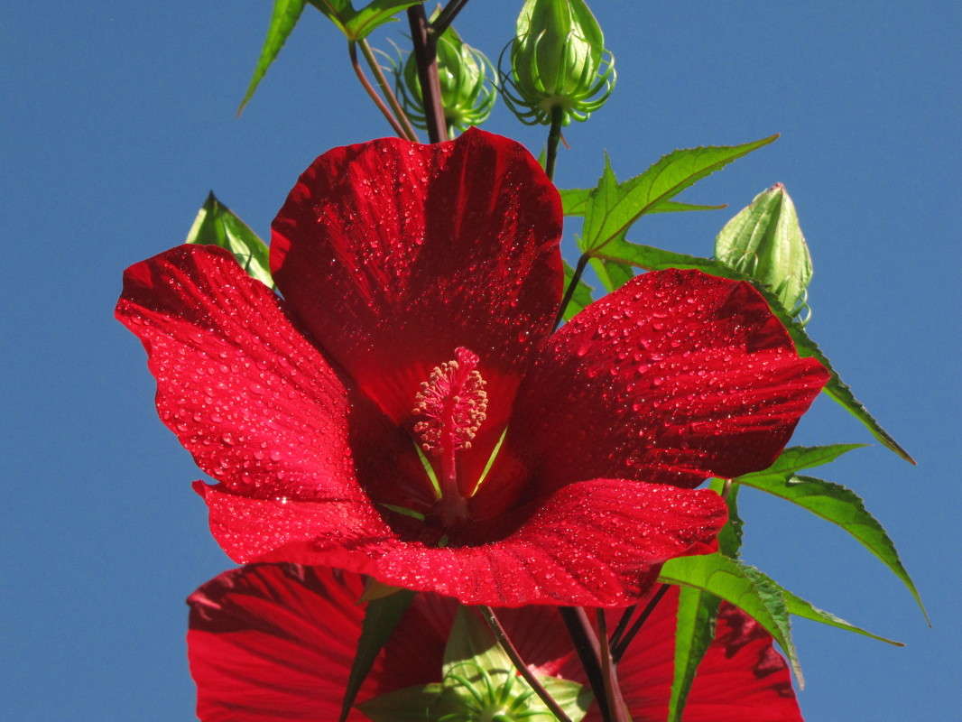 ... ����� ���� ������� �� PhotoGeek.ru #������ ��� �������