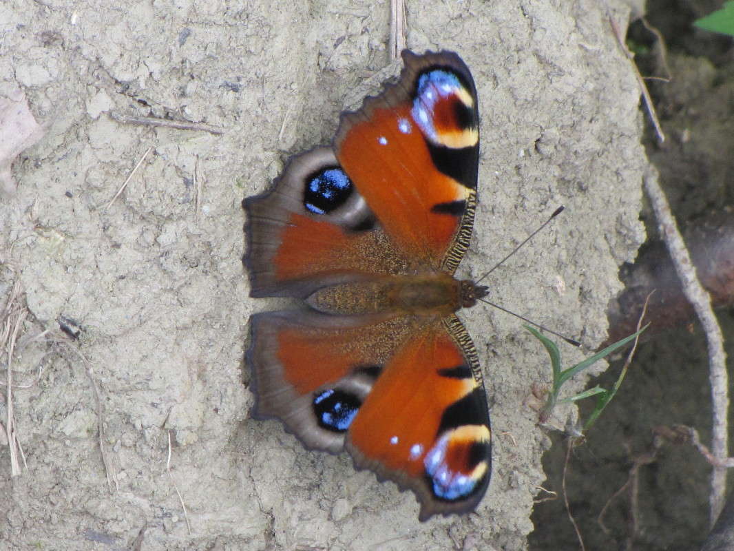 ... ����� ���� ������� �� PhotoGeek.ru #�������� ���