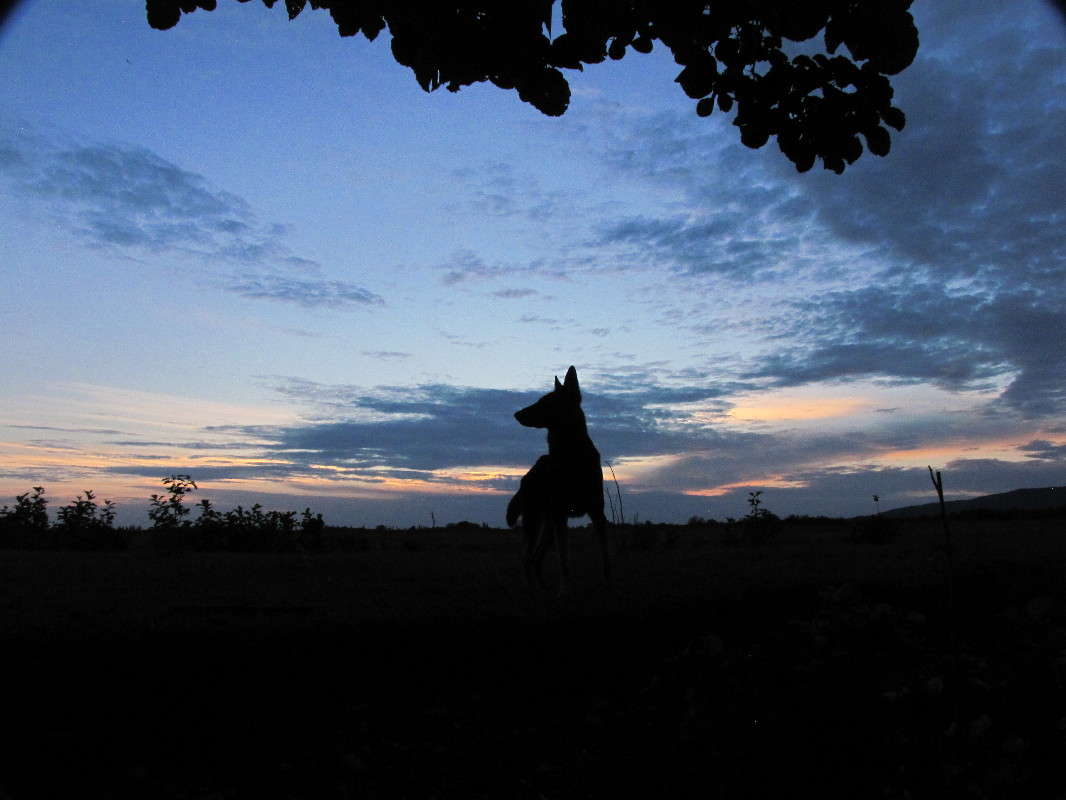 ����� ����� ���� ������� �� PhotoGeek.ru #������ ��� ������� #�������� ����������