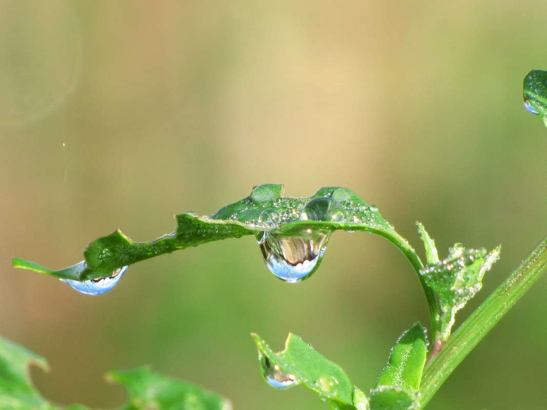 1 ����� ���� ������� �� PhotoGeek.ru #�����