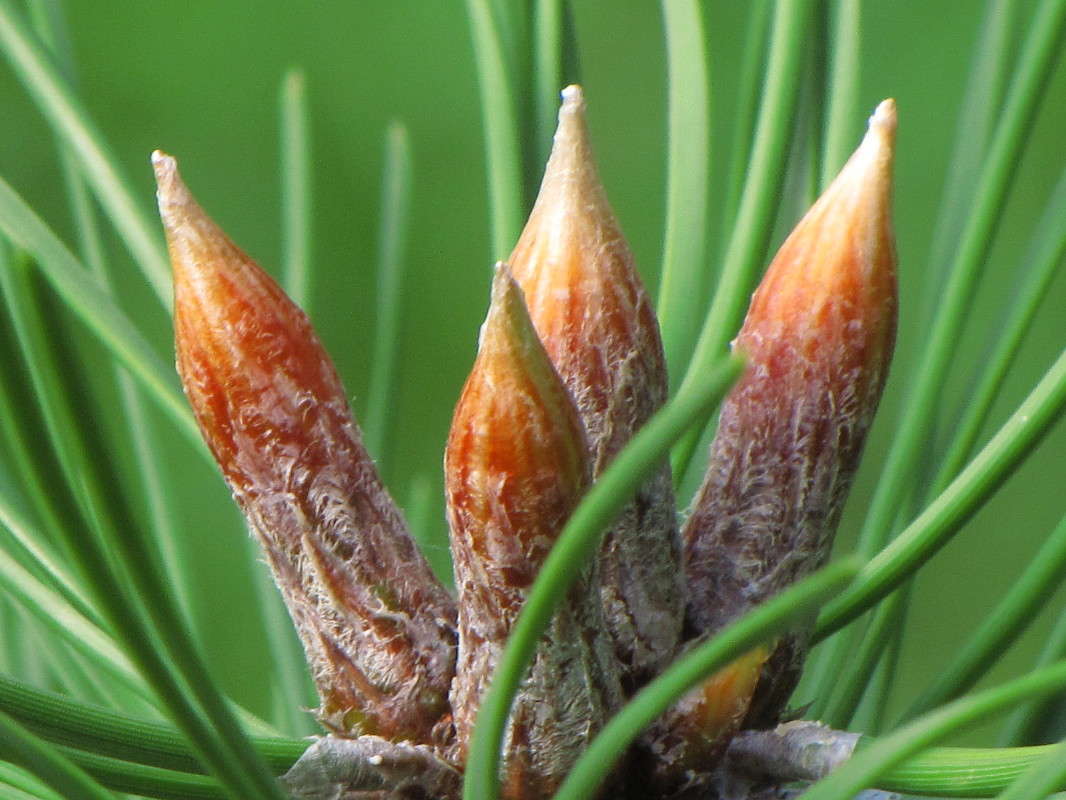 2 ����� ���� ������� �� PhotoGeek.ru #������ ��� �������