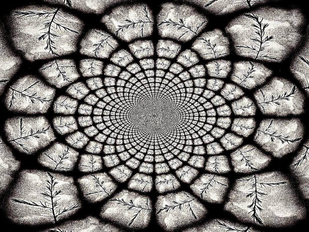 223 ����� ���� ������� �� PhotoGeek.ru #���-�����������