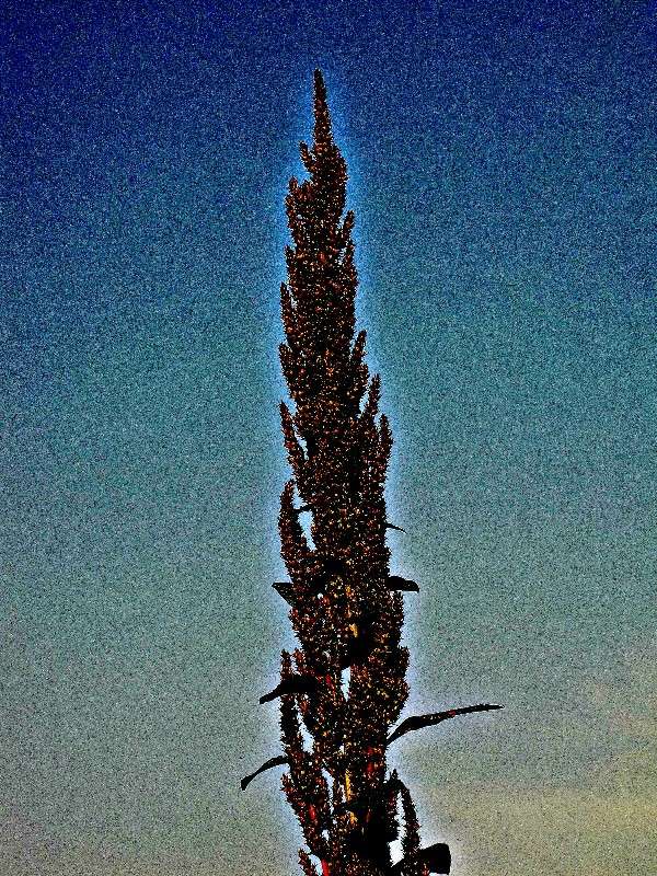 ������� ����� ���� ������� �� PhotoGeek.ru #������ ��� �������