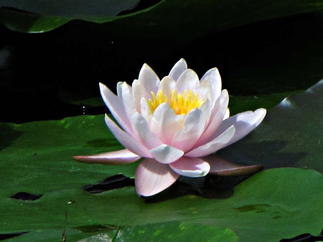 ���� ����� ���� ������� �� PhotoGeek.ru #������ ��� ������� #����� ��������������