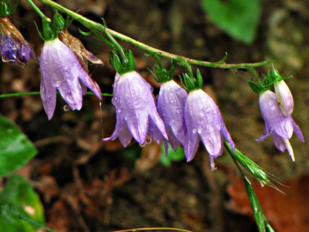 5 ����� ���� ������� �� PhotoGeek.ru #������ ��� �������