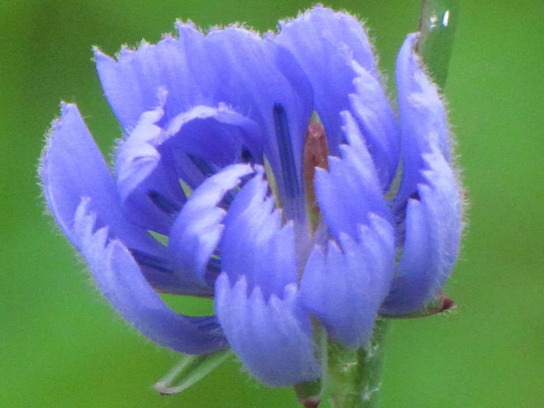 5 ����� ���� ������� �� PhotoGeek.ru #����� #����� ��������������