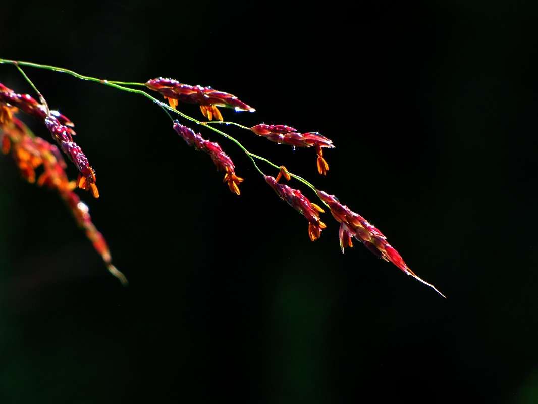 ������ ����� ���� ������� �� PhotoGeek.ru #������ ��� �������