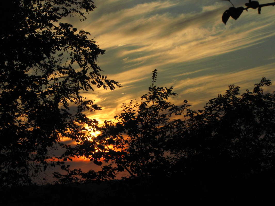 5 ����� ���� ������� �� PhotoGeek.ru #������ ��� �������