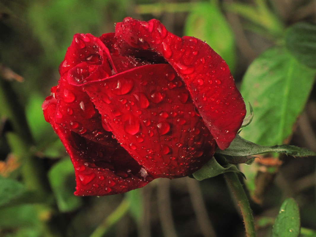 ... ����� ���� ������� �� PhotoGeek.ru #������ ��� �������