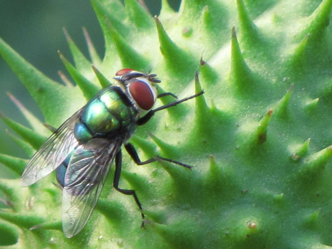 ���� ����� ���� ������� �� PhotoGeek.ru #�����