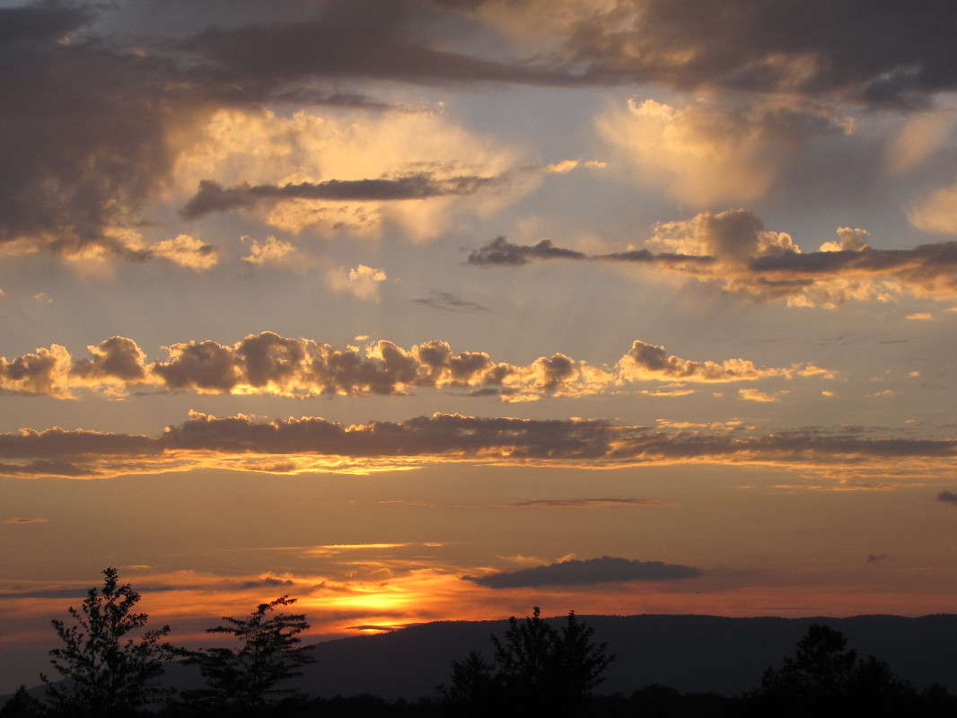 ����� ����� ���� ������� �� PhotoGeek.ru #������ ��� �������