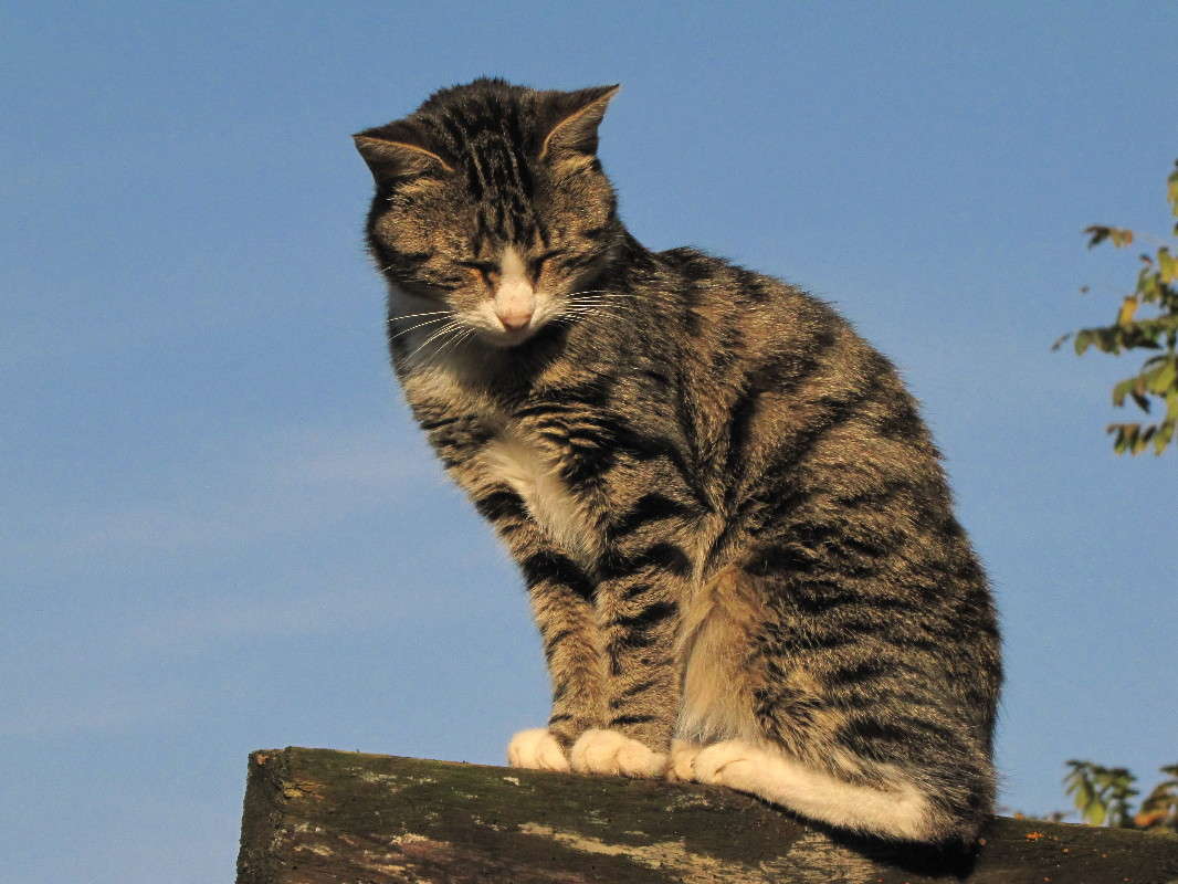 ������� ����� ���� ������� �� PhotoGeek.ru #�������� ���