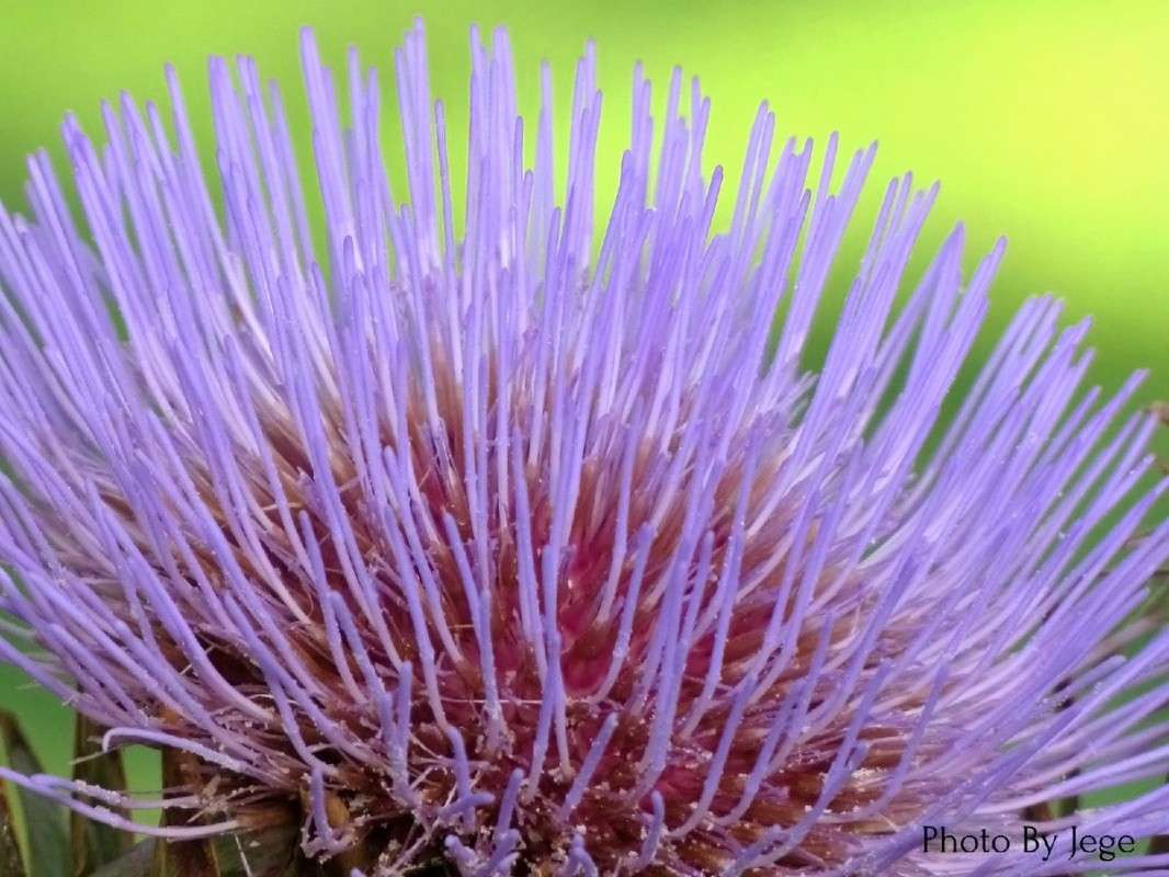 44 ����� ���� ������� �� PhotoGeek.ru #������ ��� �������