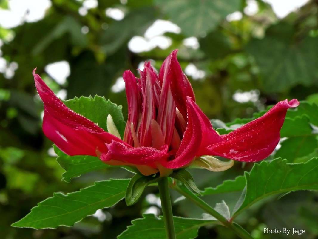 55 ����� ���� ������� �� PhotoGeek.ru #������ ��� ������� #����� ��������������