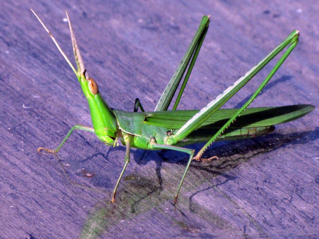 c ����� ���� ������� �� PhotoGeek.ru #����� #���������