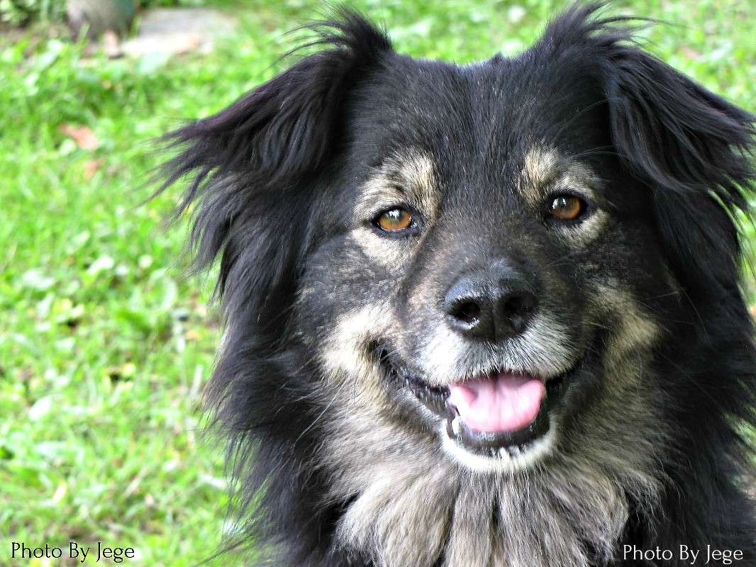 ���� ����� ���� ������� �� PhotoGeek.ru #�������� ���