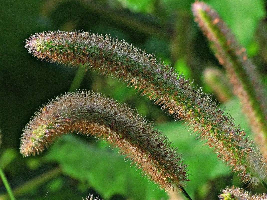 �������� ����� ���� ������� �� PhotoGeek.ru #������ ��� ������� #����� ��������������