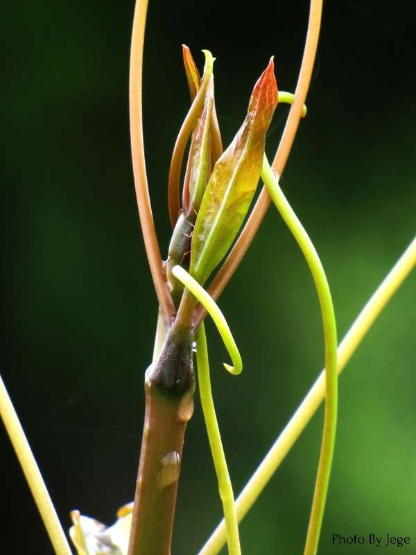 ����� ����� ���� ������� �� PhotoGeek.ru #������ ��� ������� #����� ��������������