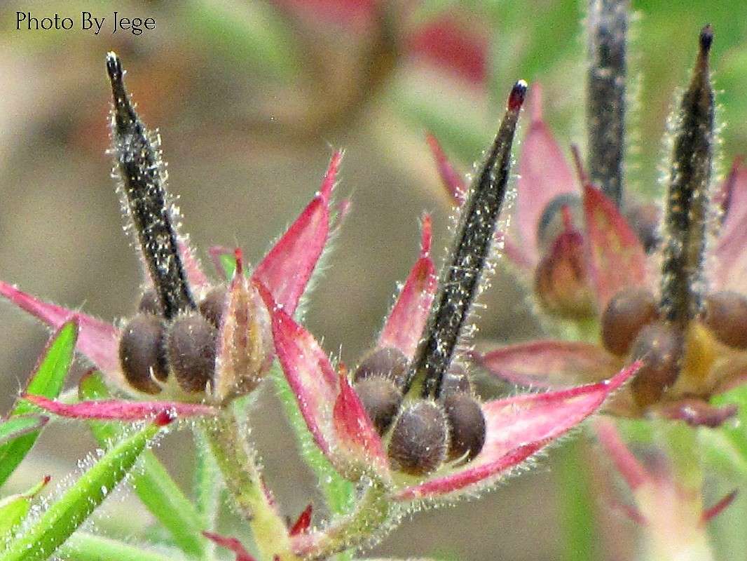 ����2 ����� ���� ������� �� PhotoGeek.ru #������ ��� ������� #����� ��������������