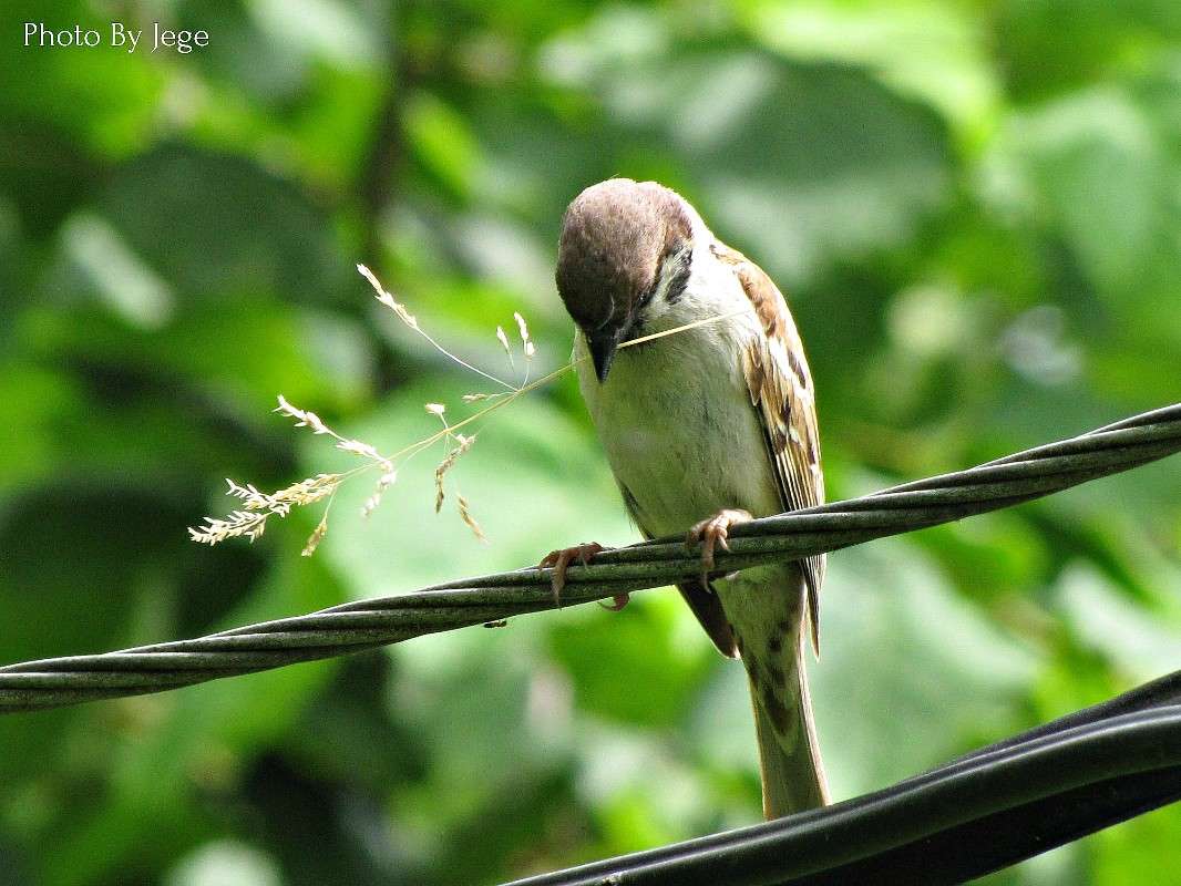 ������ ������� ����� ���� ������� �� PhotoGeek.ru #�������� ���