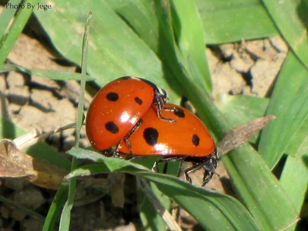 �� ����� ���� ������� �� PhotoGeek.ru #�����