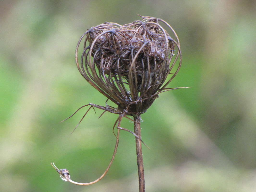 �� ����� ���� ������� �� PhotoGeek.ru #������ ��� ������� #����� ��������������