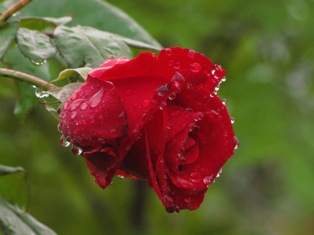 �� ����� ���� ������� �� PhotoGeek.ru #������ ��� �������