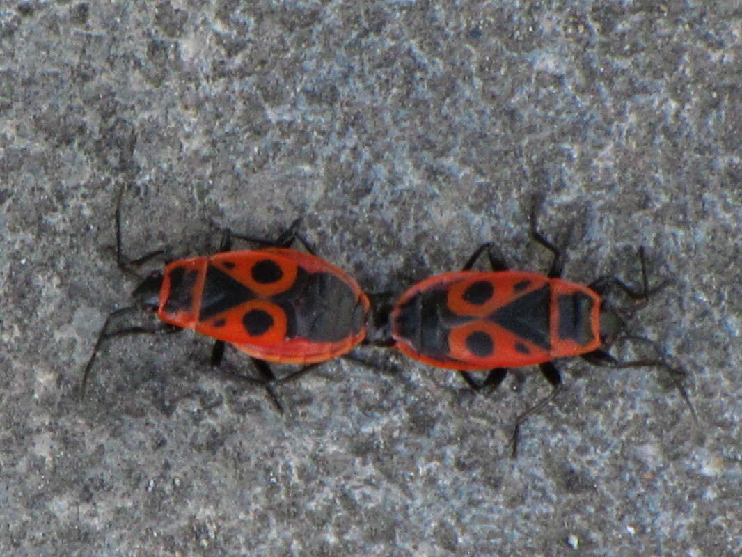 yy ����� ���� ������� �� PhotoGeek.ru #����� #�������� ���