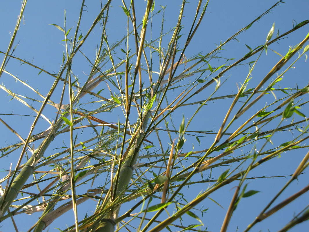 ������ ����� ���� ������� �� PhotoGeek.ru #������ ��� ������� #����� ��������������