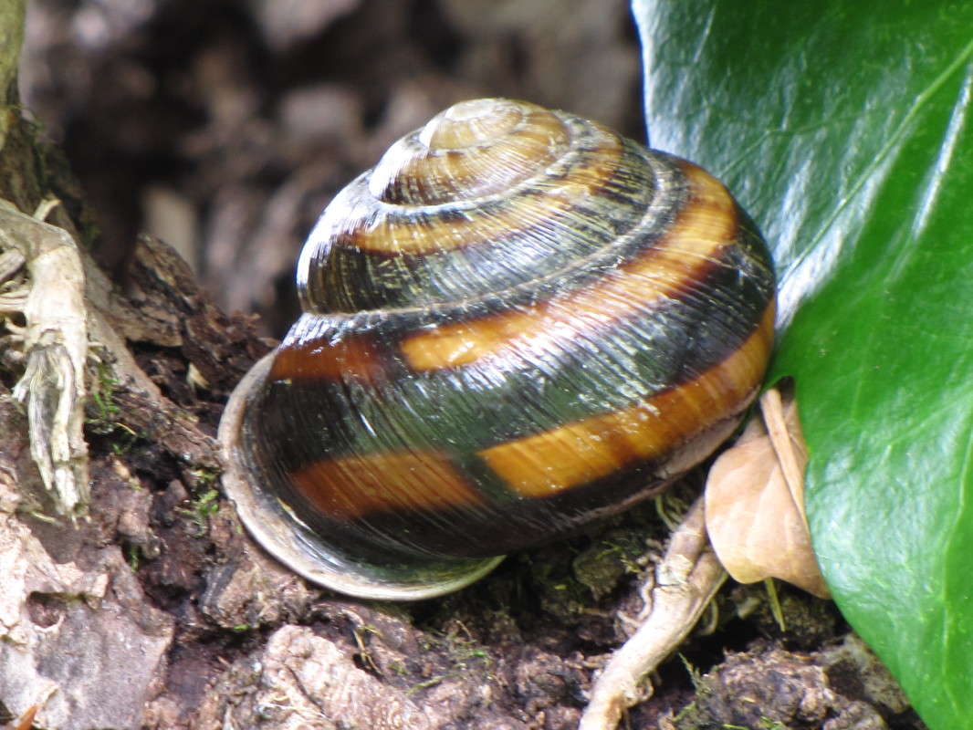 ���� ����� ���� ������� �� PhotoGeek.ru #�������� ���