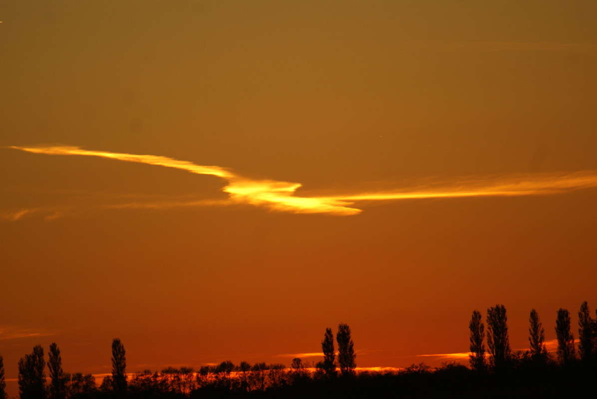 ����� ����� ���� ������� �� PhotoGeek.ru #������ ��� �������