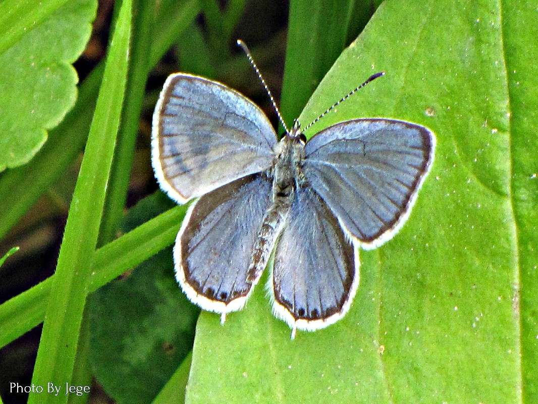 ������� ����� ���� ������� �� PhotoGeek.ru #�������� ���