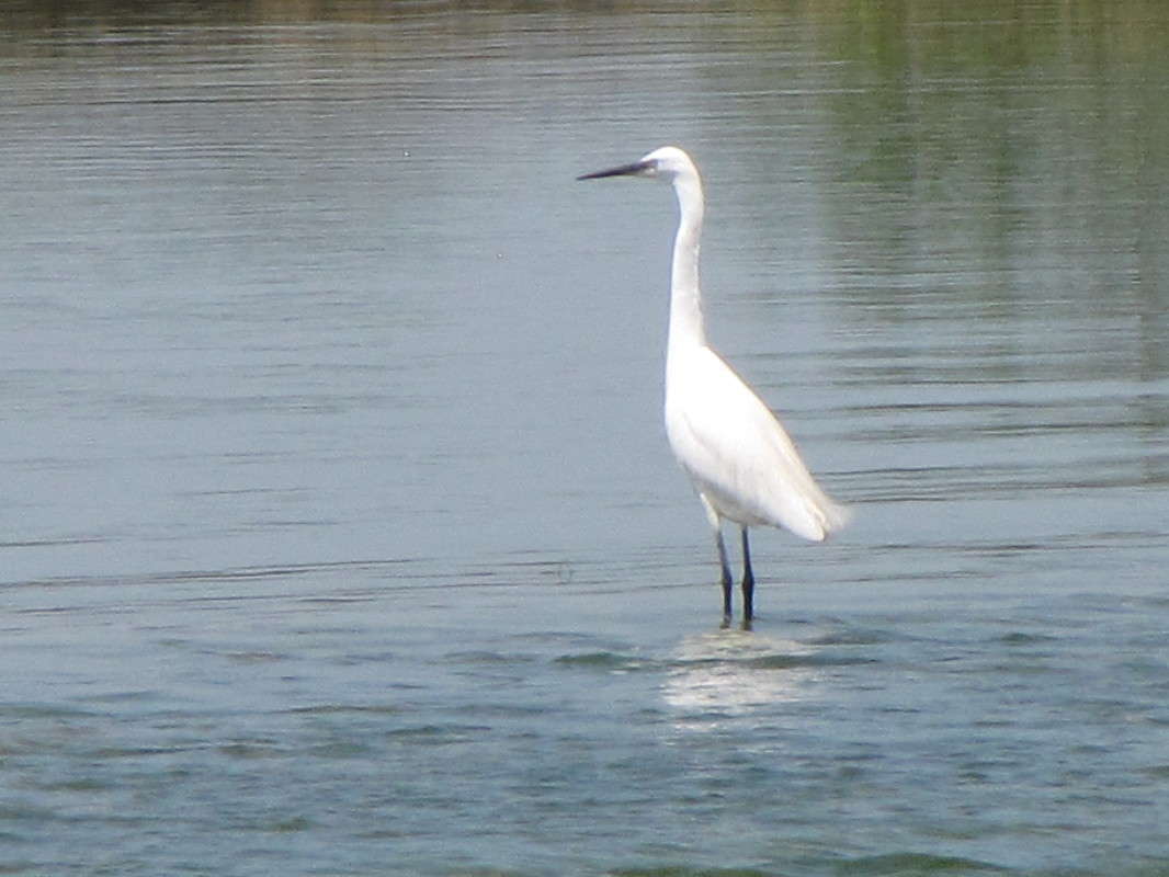 ����� ����� ���� ������� �� PhotoGeek.ru #�������� ���