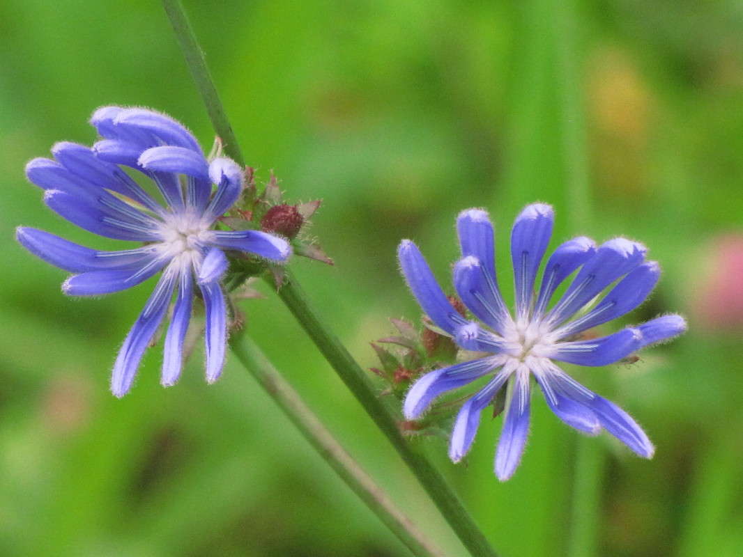 ��� ����� ���� ������� �� PhotoGeek.ru #������ ��� �������