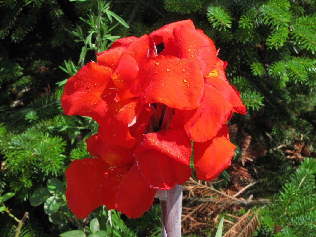 532 ����� ���� ������� �� PhotoGeek.ru #������ ��� �������