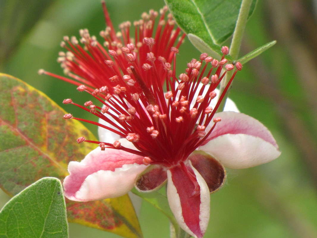 ����� ����� ���� ������� �� PhotoGeek.ru #������ ��� �������