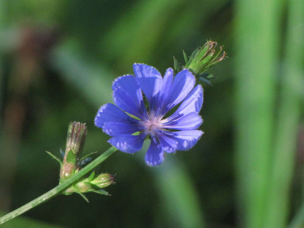 ��� ����� ���� ������� �� PhotoGeek.ru #������ ��� �������