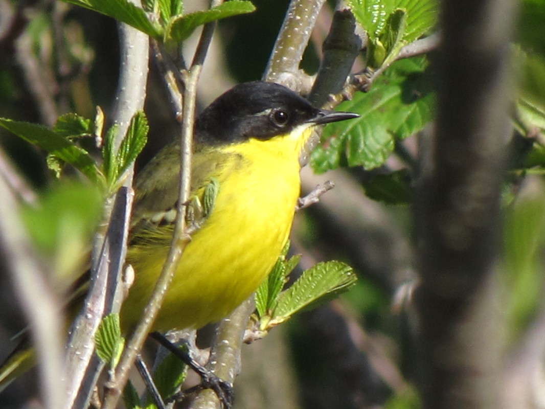 ��� ����� ���� ������� �� PhotoGeek.ru #�������� ���