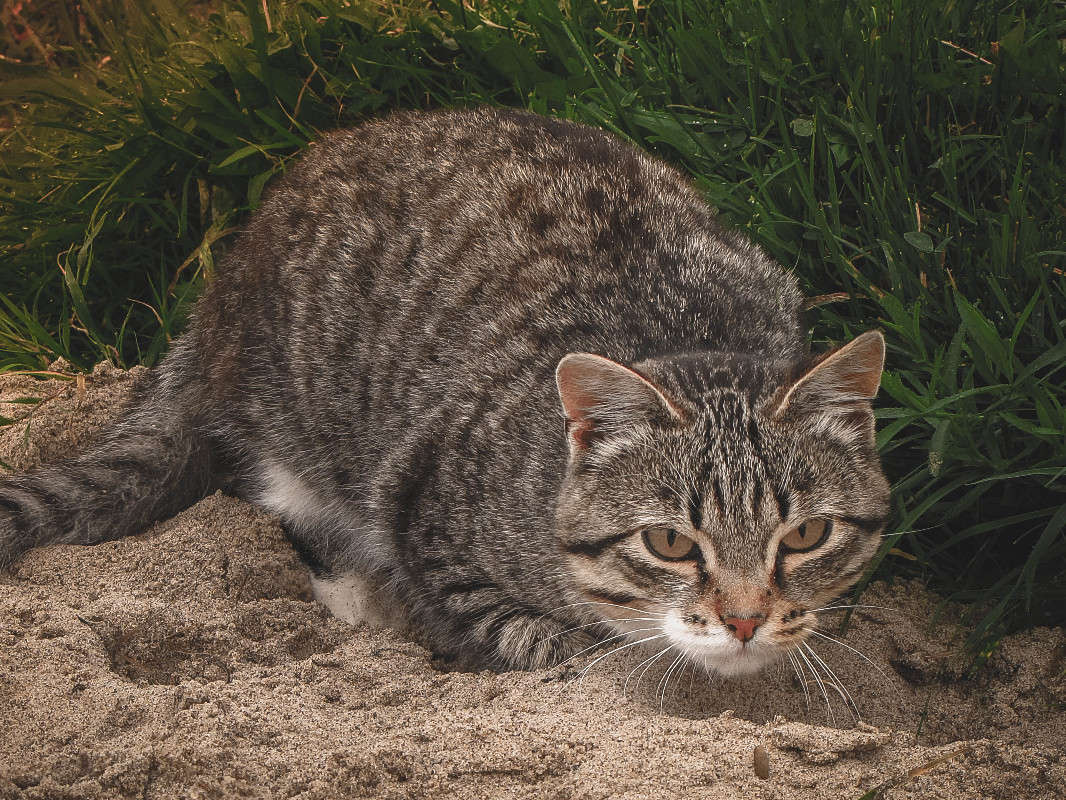 ��� ����� ��������� ��������� �� PhotoGeek.ru #�������� ���