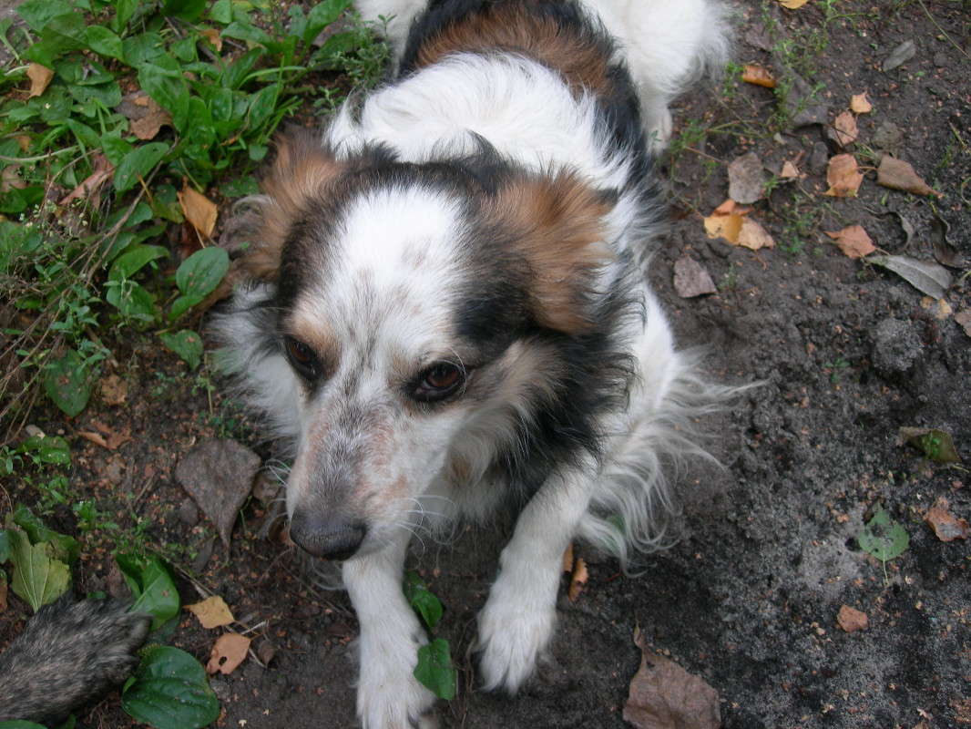 ����� ����� ���� ������� �� PhotoGeek.ru #�������� ���������� #���������������