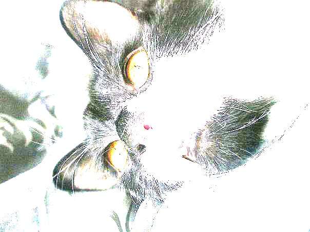 ���� ����� ������� ������� �� PhotoGeek.ru #����� #�������� ���