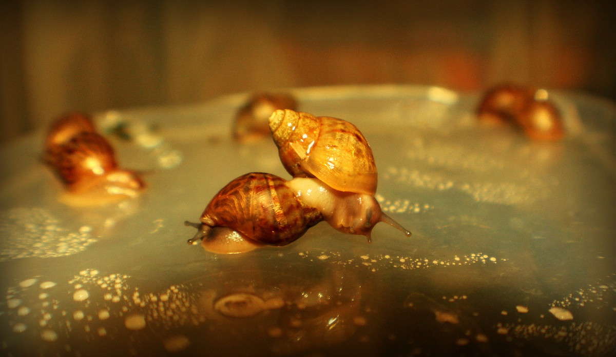 ������� ����� �������  �� PhotoGeek.ru #�����