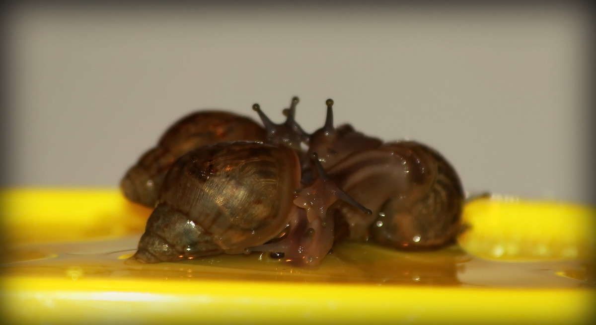 ������ ���������)) ����� �������  �� PhotoGeek.ru #�����