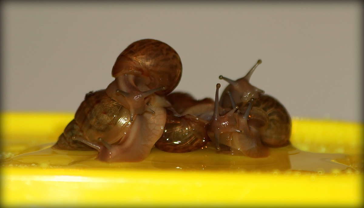 ��� ��������,� ��� ��������)) ����� �������  �� PhotoGeek.ru #�����