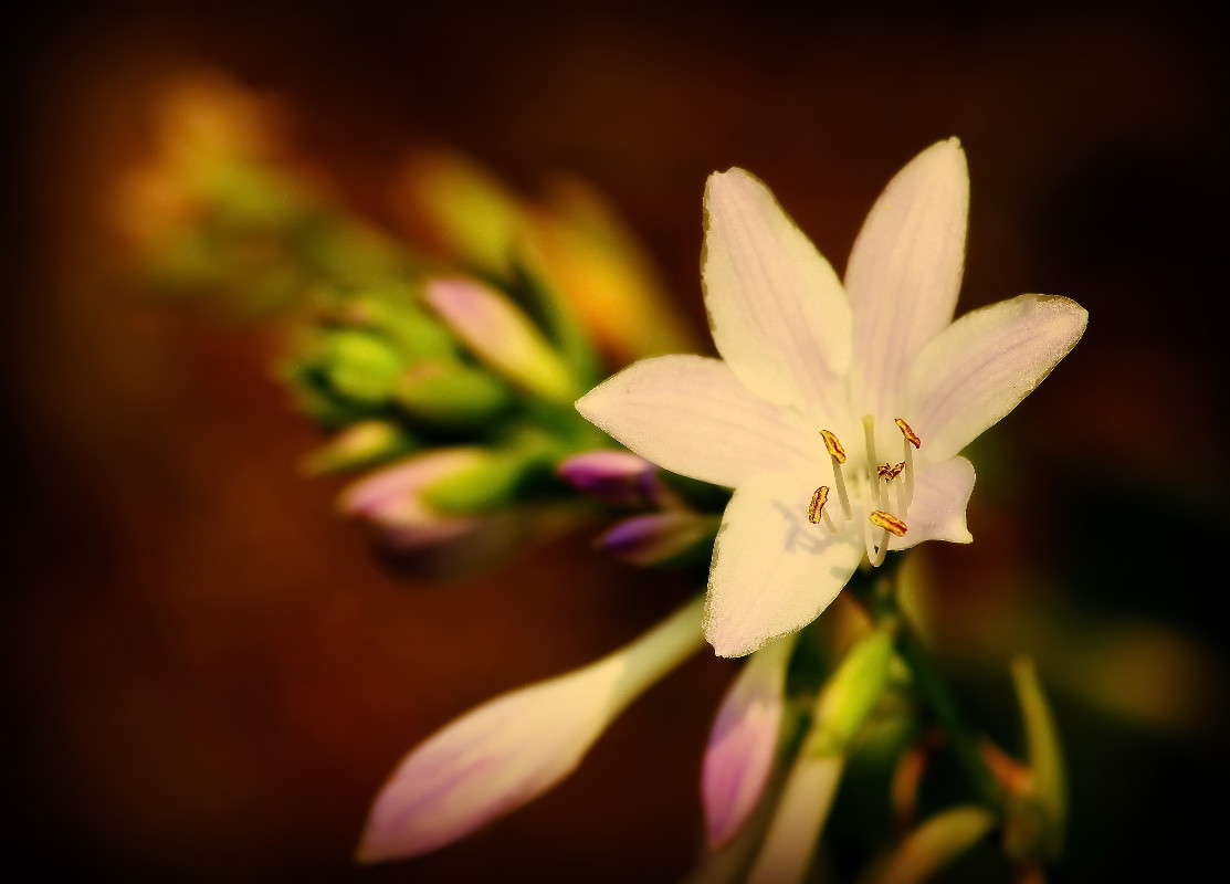 ... ����� �������  �� PhotoGeek.ru #����� ��������������