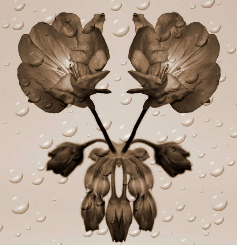 ... ����� �������  �� PhotoGeek.ru #����������